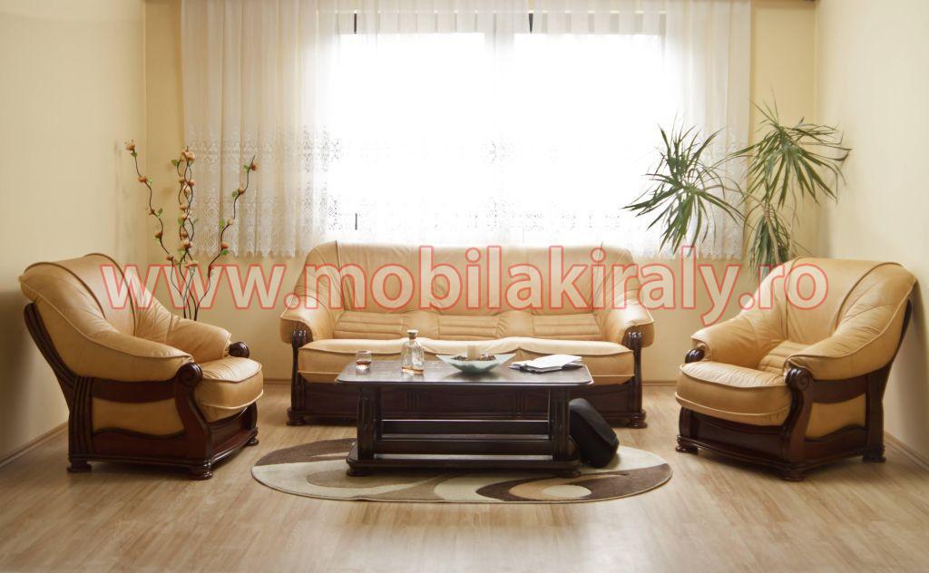 Hol piele 3-1-1 0067