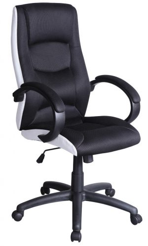 Scaun directorial 01662