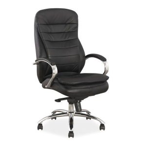 Scaun directorial 03782