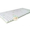 Topper Aloe