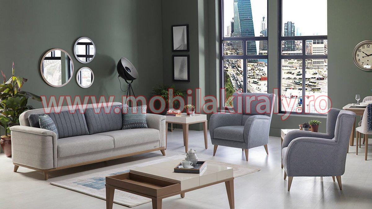 Canapea + 2 fotolii 06442