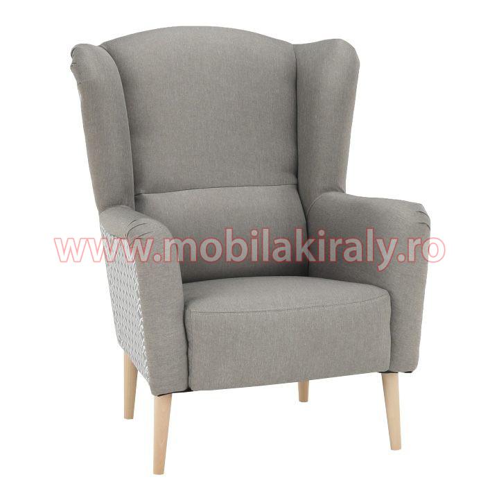 Fotoliu de design B350