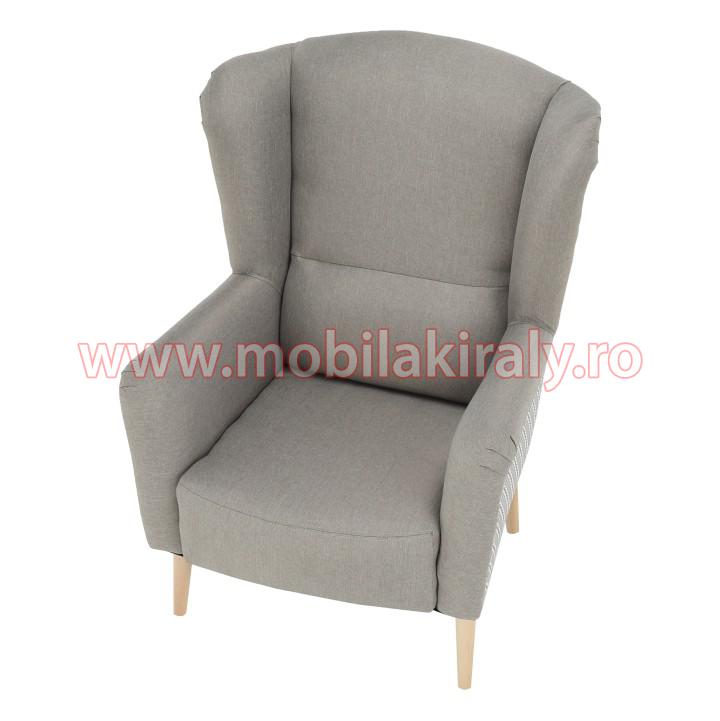 Fotoliu de design B350