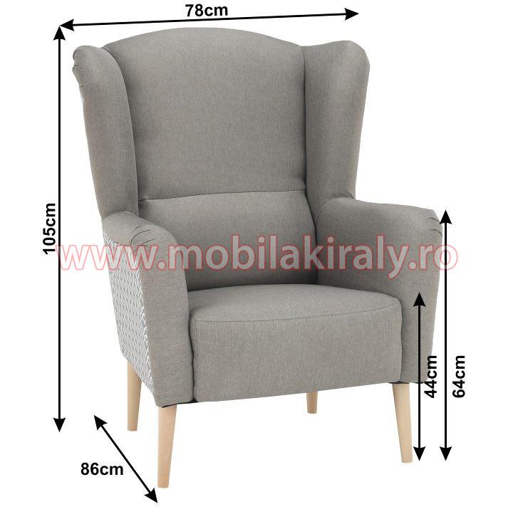 Fotoliu de design B350