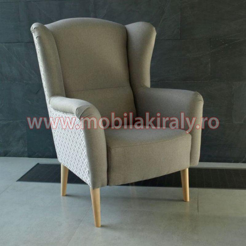 Fotoliu de design B350