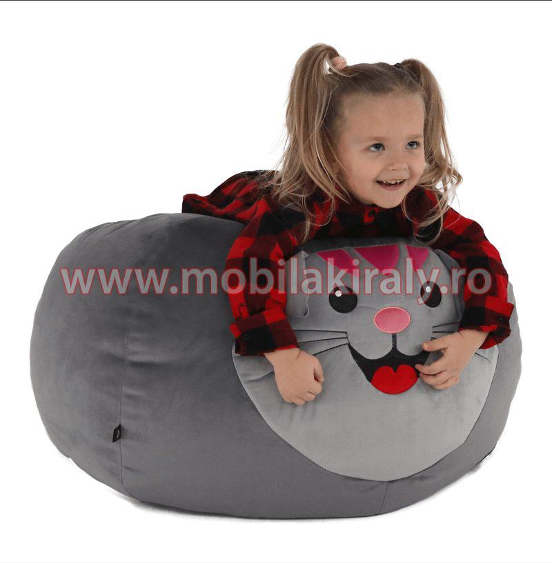 Fotoliu tip sac B451