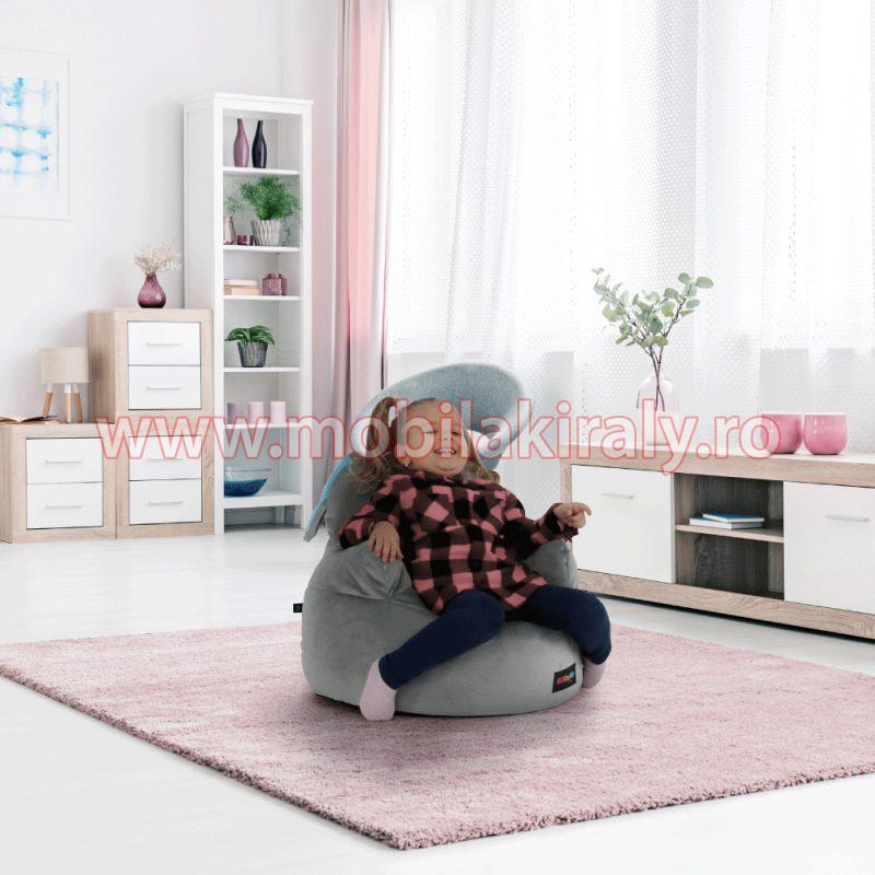 Fotoliu tip sac B484