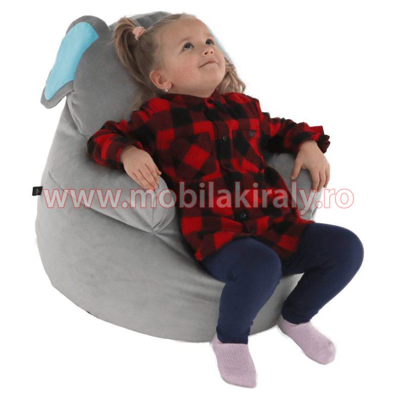 Fotoliu tip sac B484