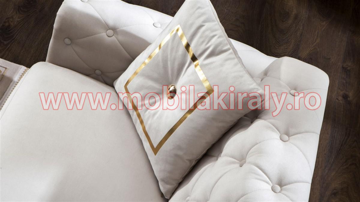 Canapea extensibila B490