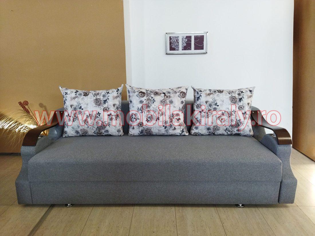 Canapea extensibila 08709