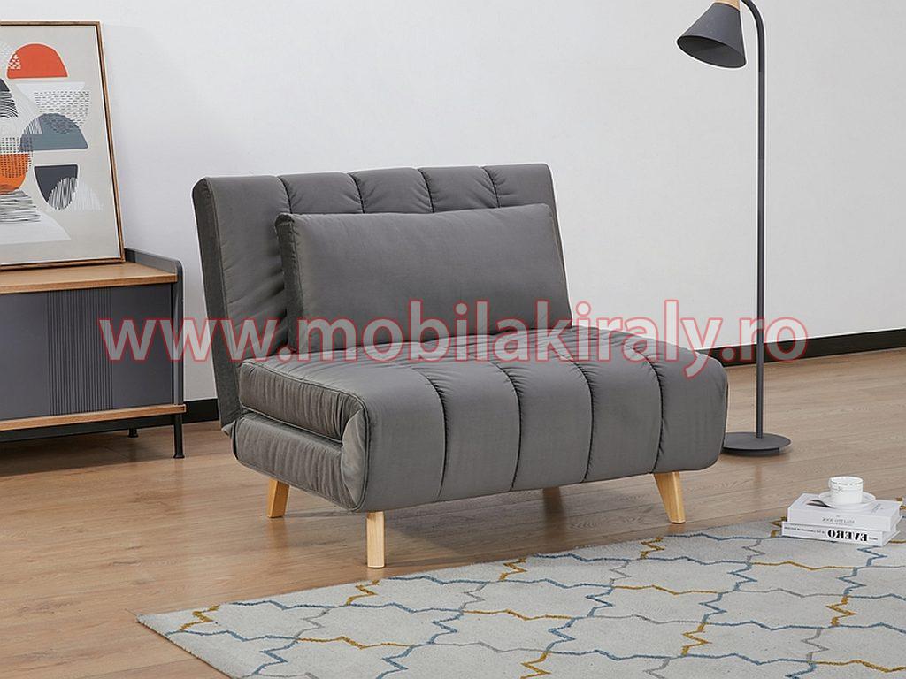 Fotoliu extensibil 08864