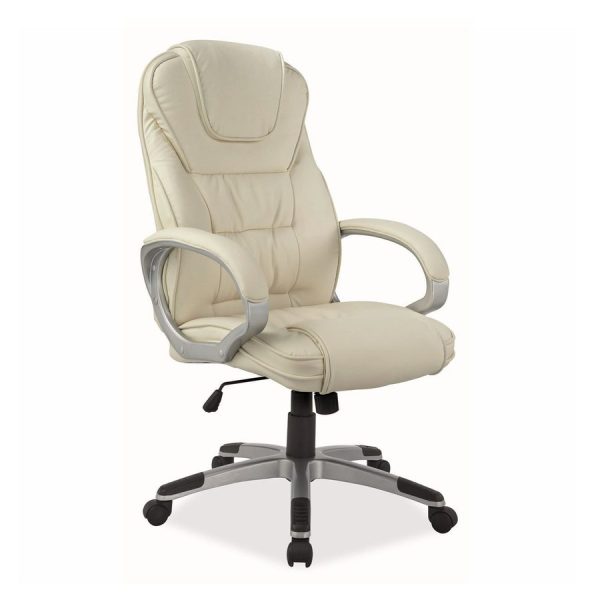 Scaun birou 09492