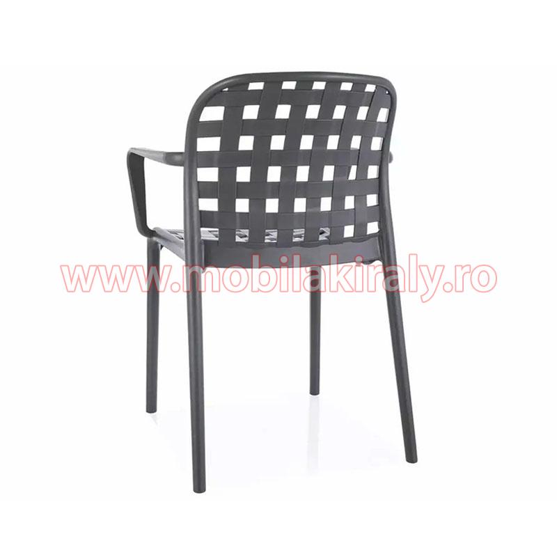 Scaun 09921 - imagine 2