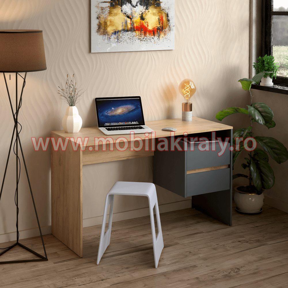 Birou 010130 - imagine 2