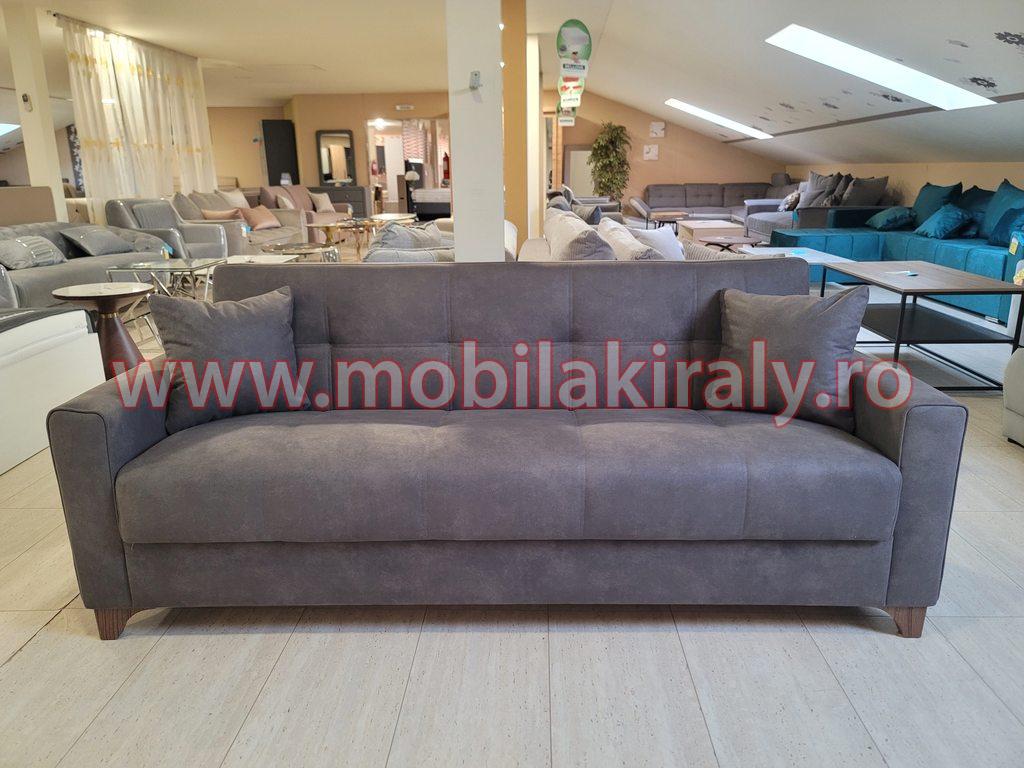 Canapea extensibila 012519