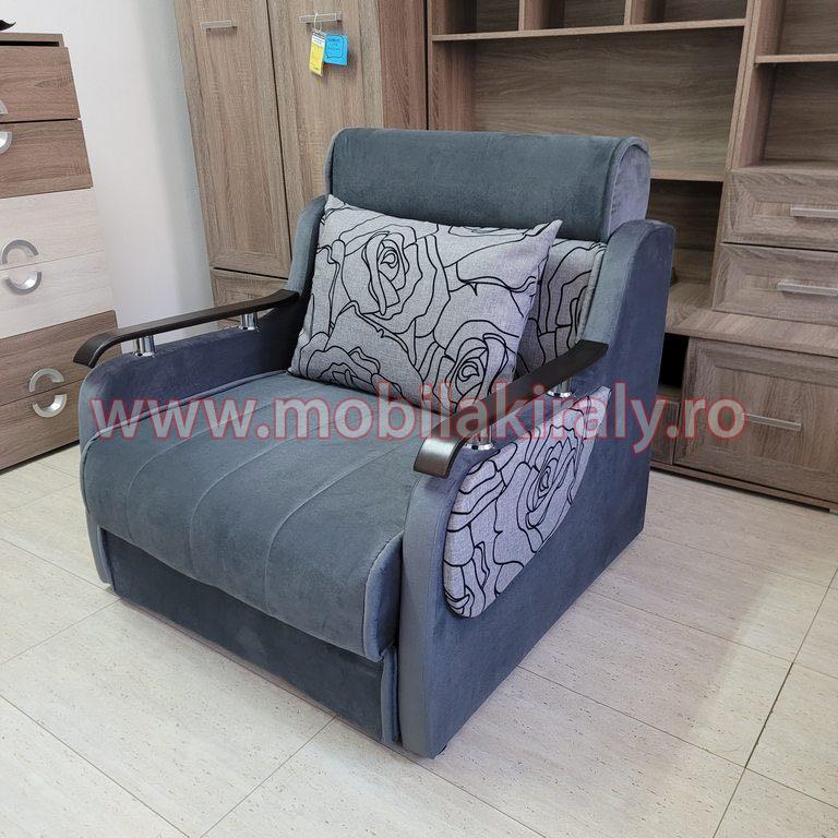 Fotoliu extensibil 012498