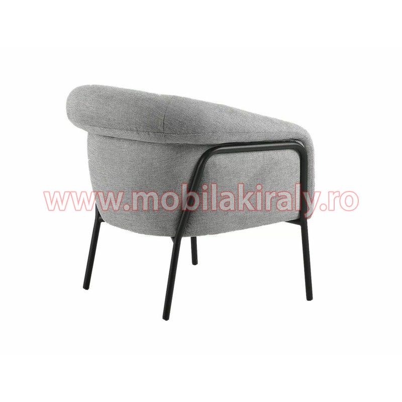 Fotoliu 014838 - imagine 2