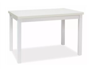 Masa extensibila 014857