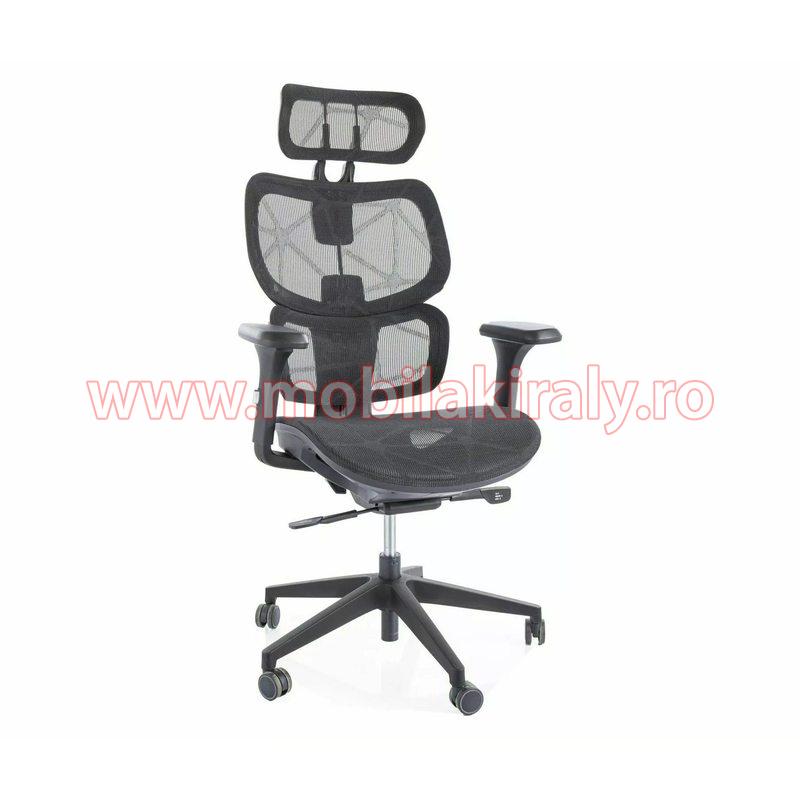 Scaun birou 017019